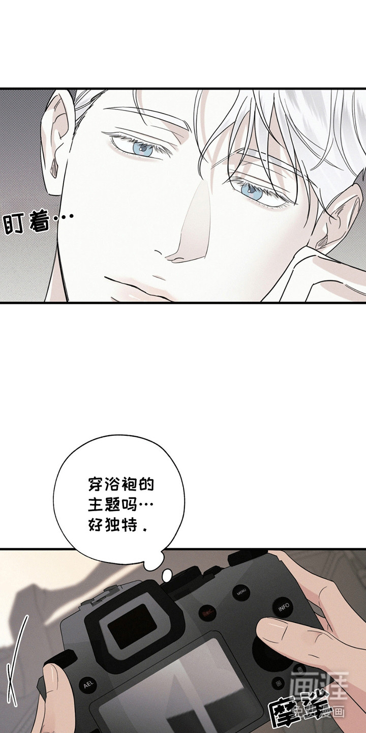 美人鱼的沼泽第2话图