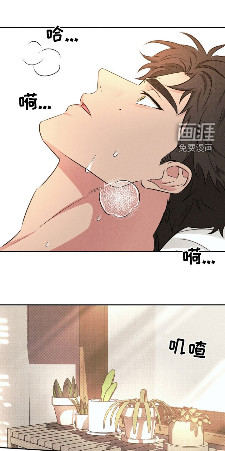 美人鱼的沼泽第21话图