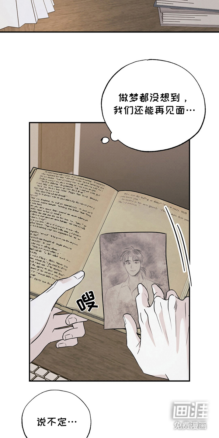 美人鱼的沼泽第4话图