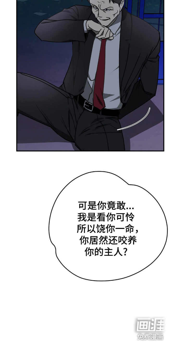 命令统治 第19话 第8页