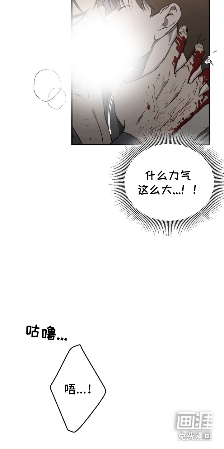 命令统治 第5话 第5页