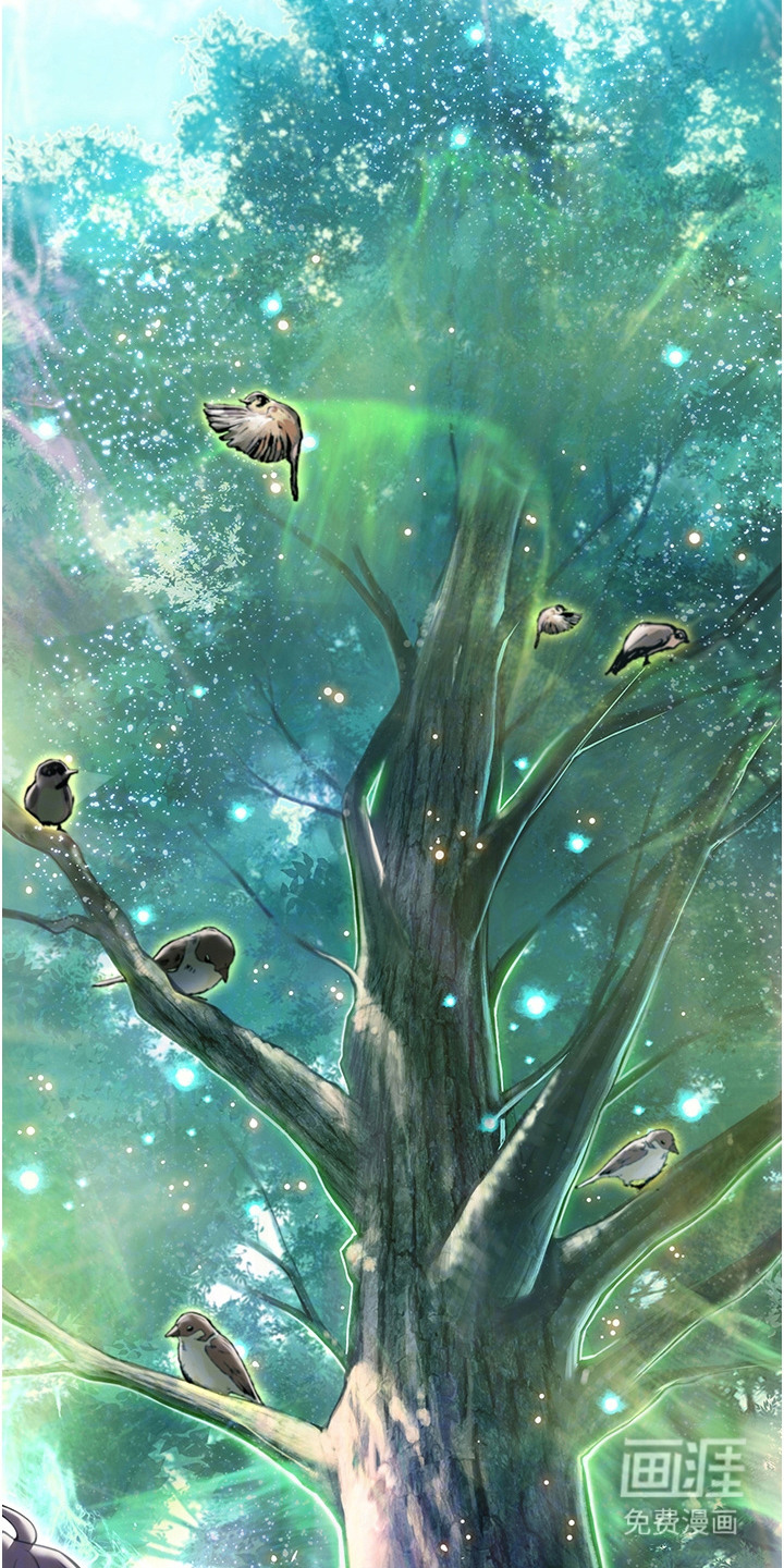 命运与贞洁 第14话 第20页