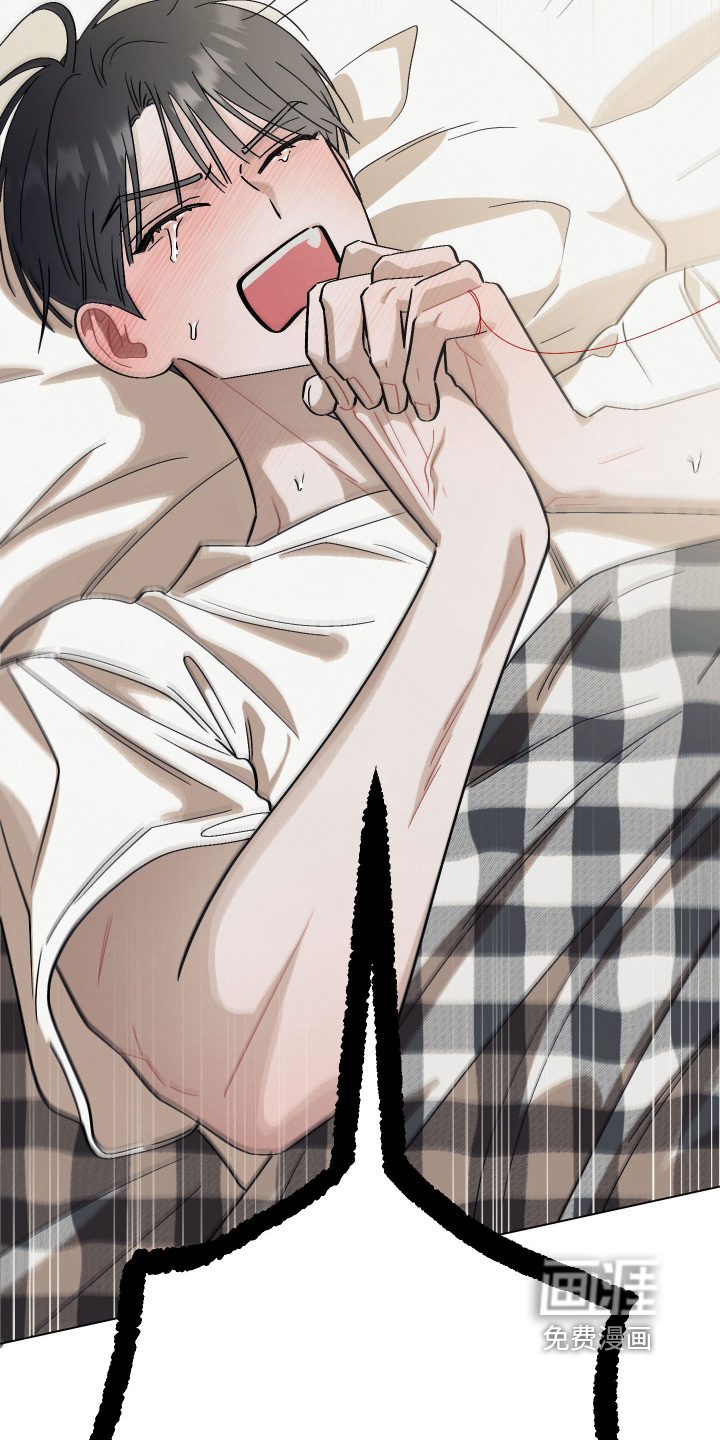 命运的红线第17话图