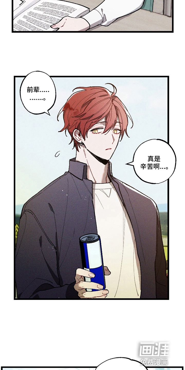 命运的名字第10话图