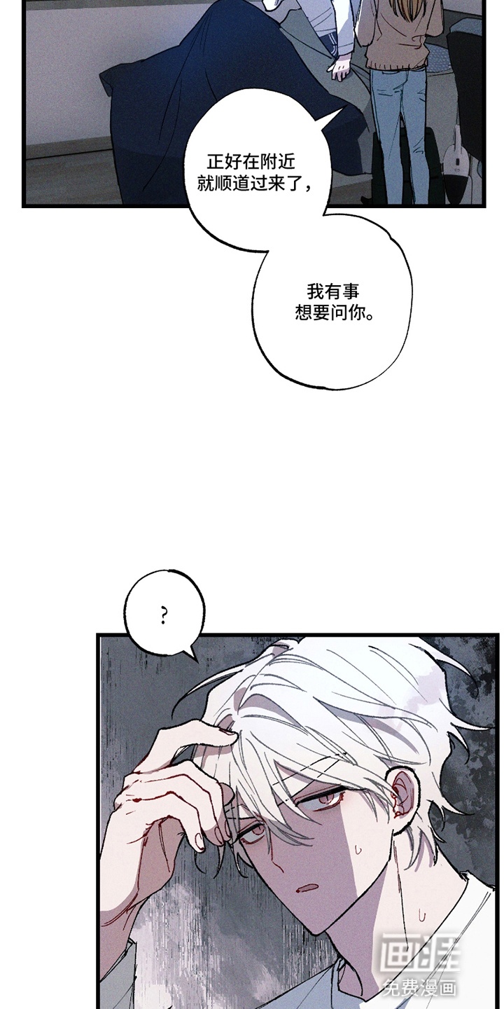 命运的名字第11话图