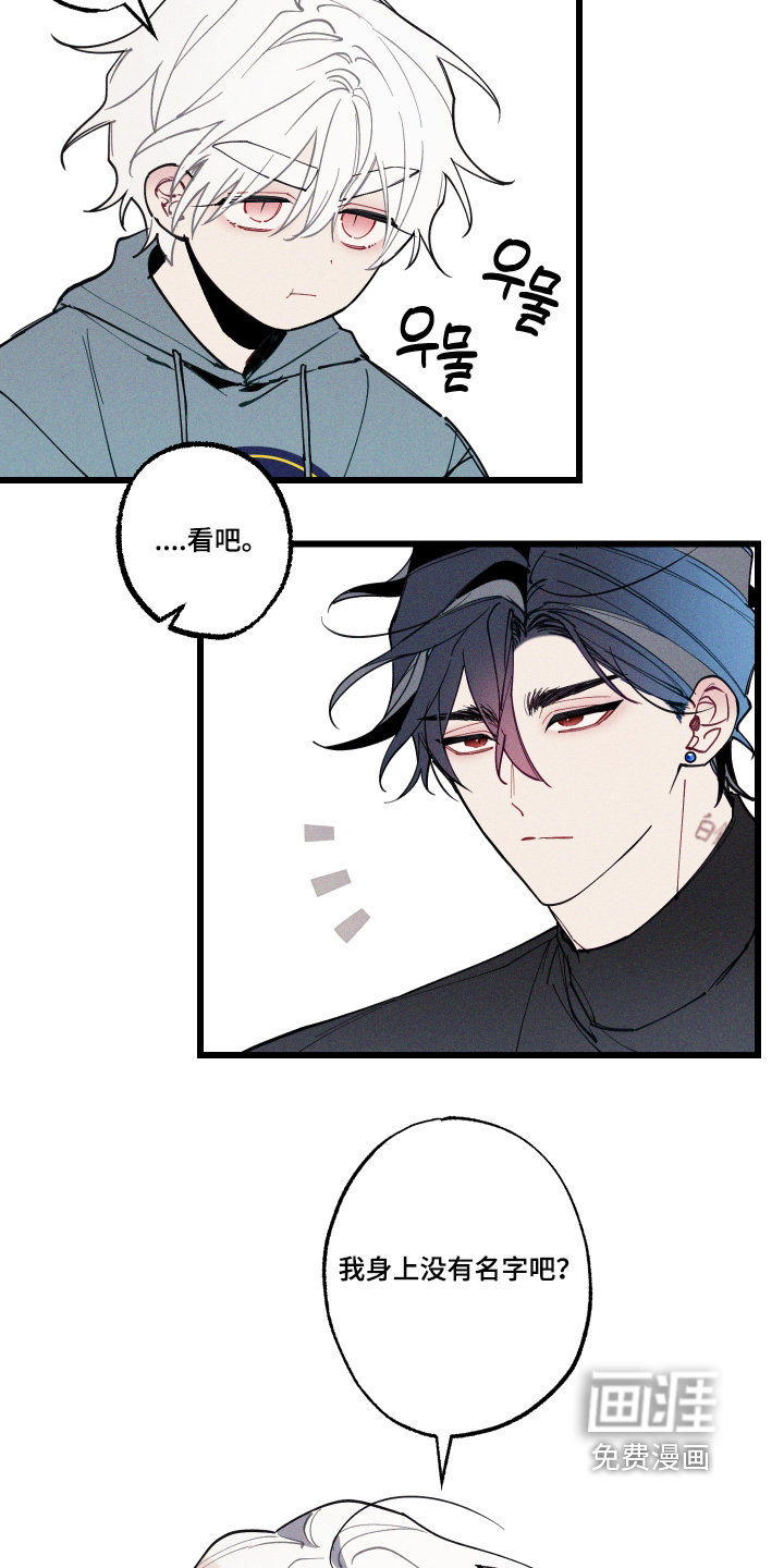 命运的名字第19话图