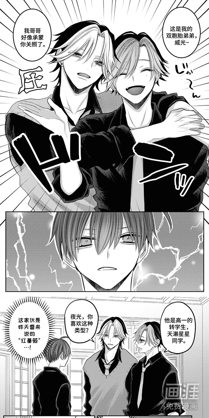 秘密之刺第8话图