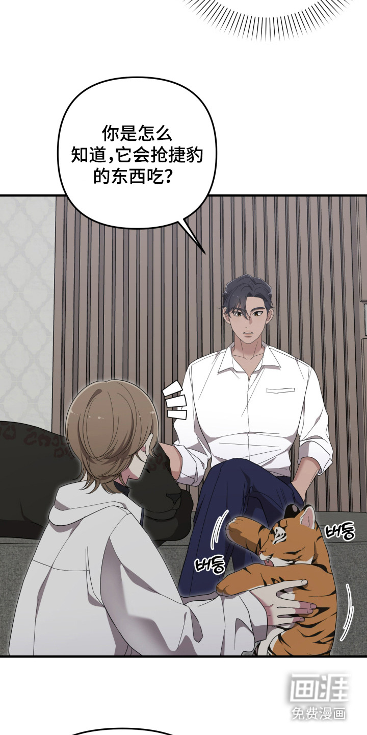 猛宠旧情第10话图