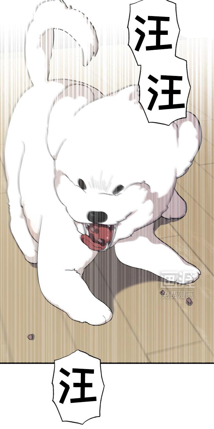 猛宠旧情第25话图