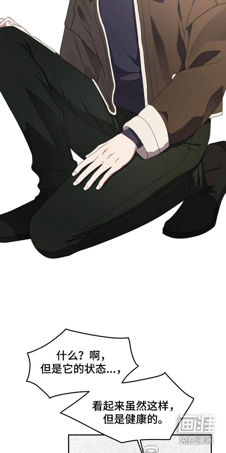 猛宠旧情第4话图