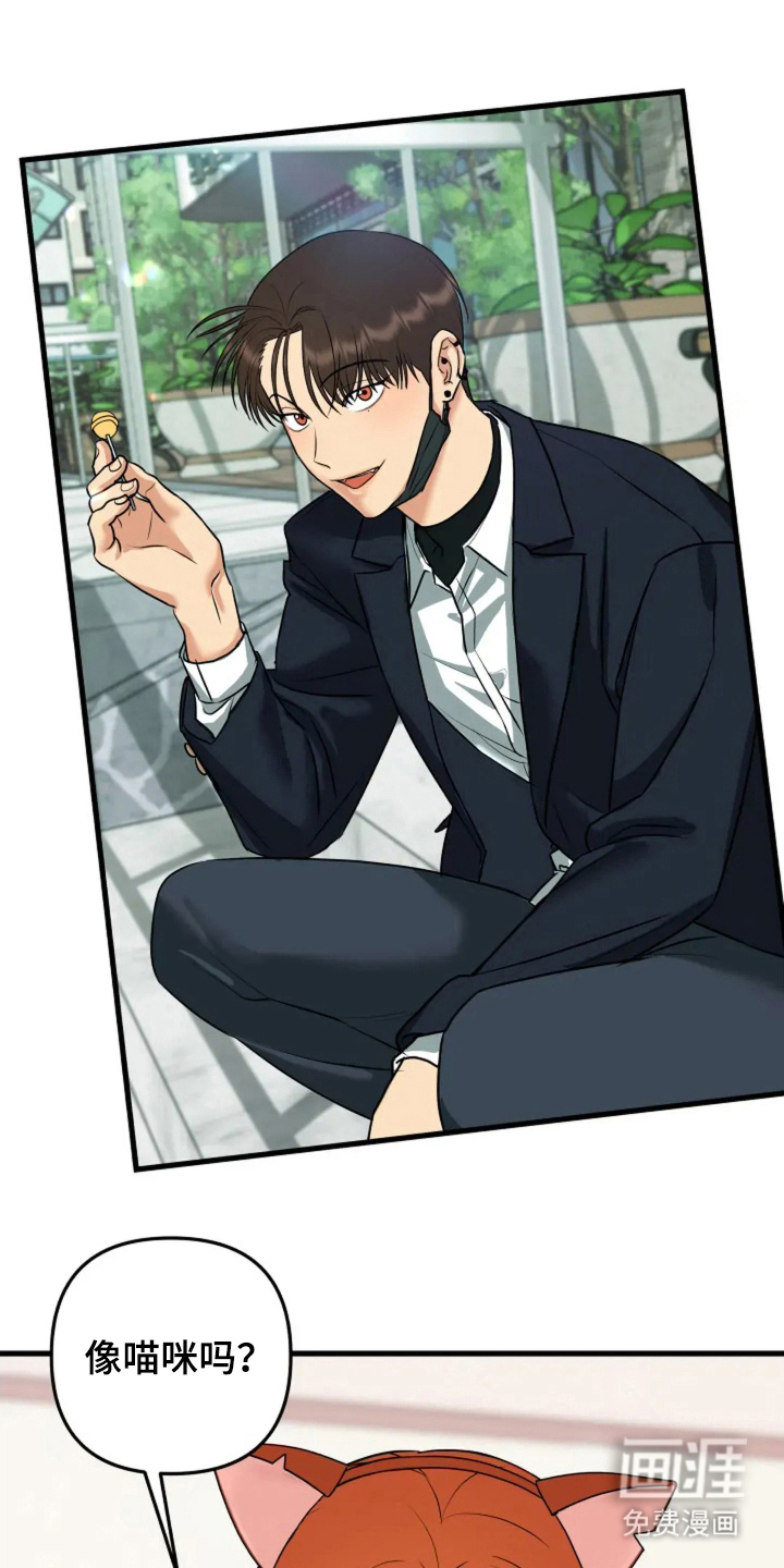 盲吻越狱第10话图