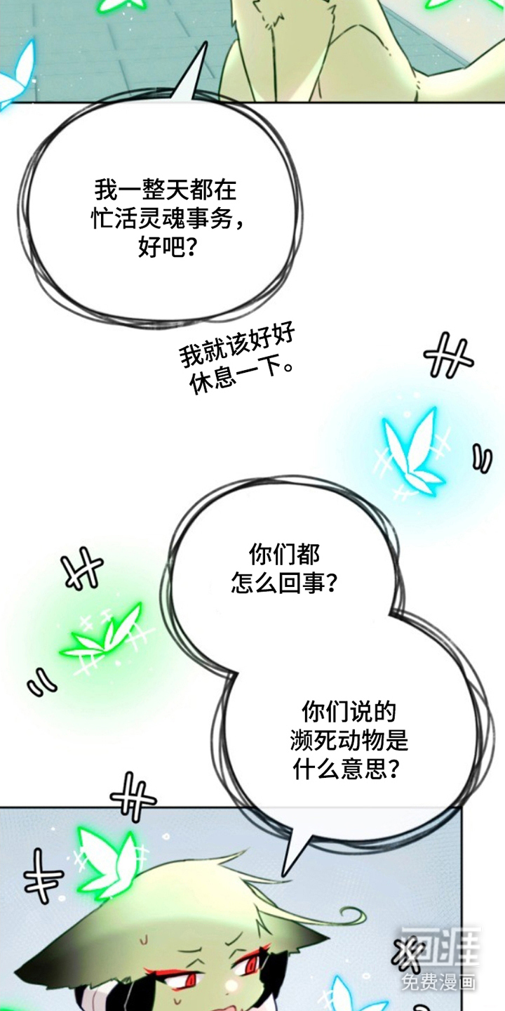 没勾完的死神名单 第3话 第13页