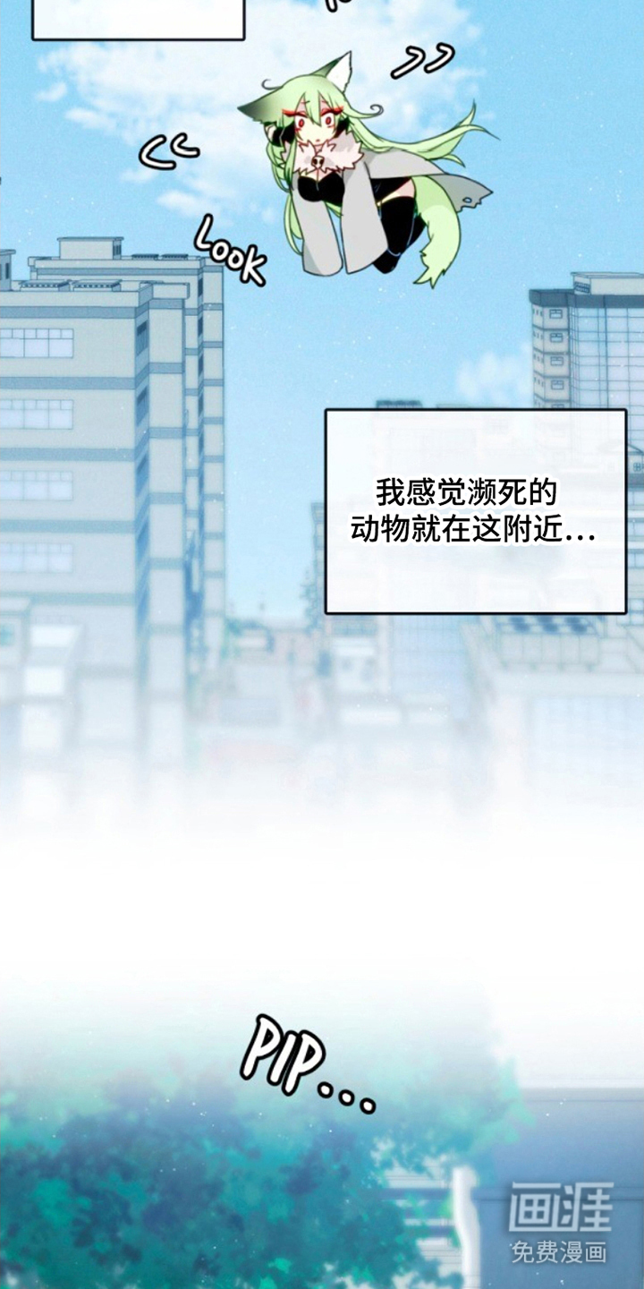 没勾完的死神名单 第4话 第10页