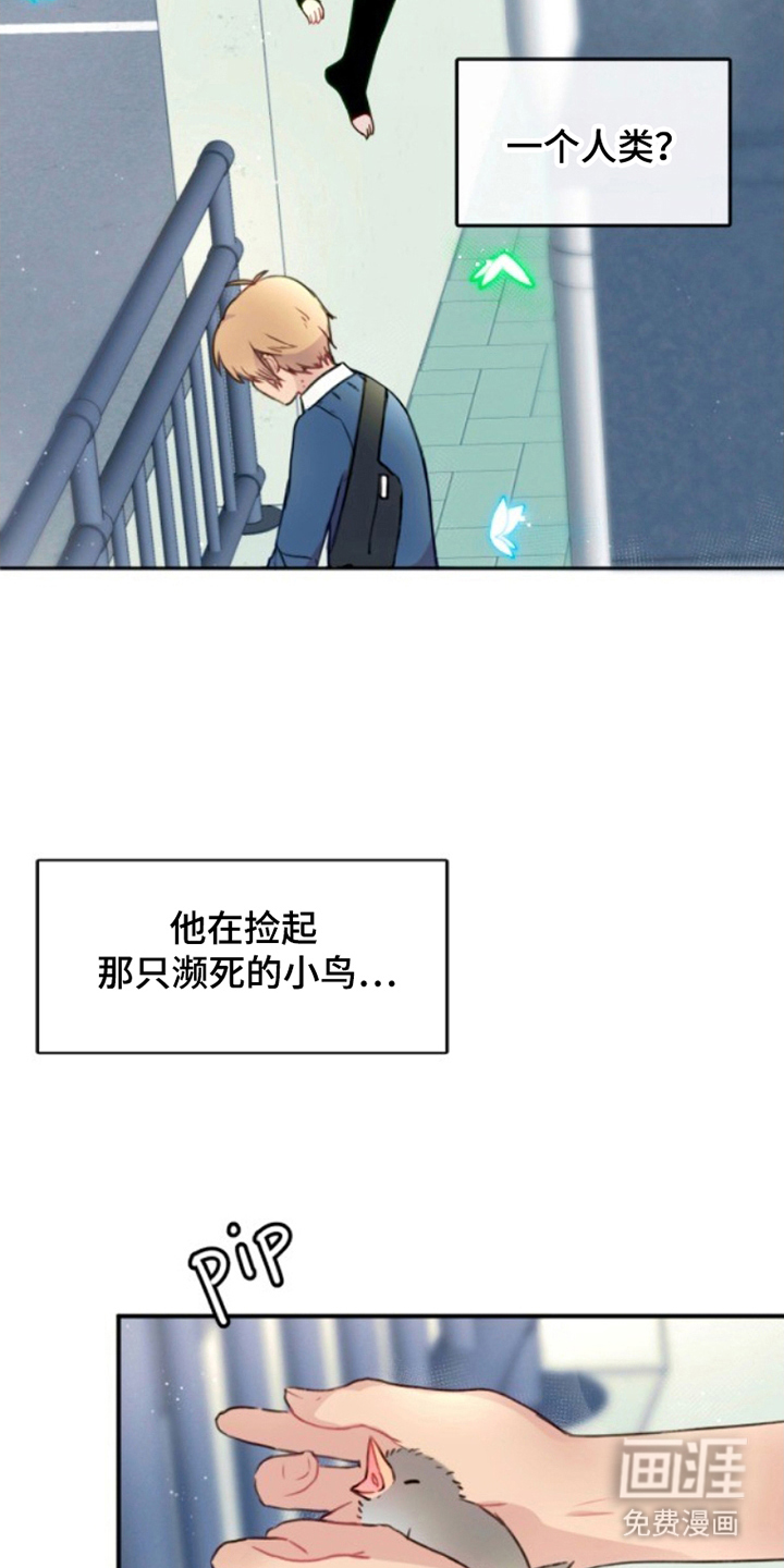 没勾完的死神名单 第4话 第17页