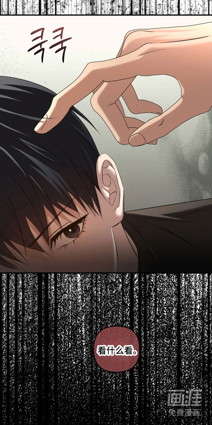 命运击绊 第29话 第25页