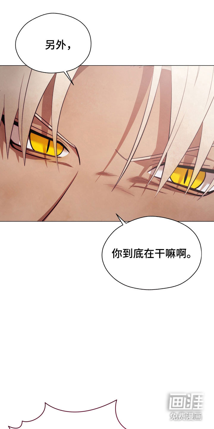 魅魔饲养日志第16话图