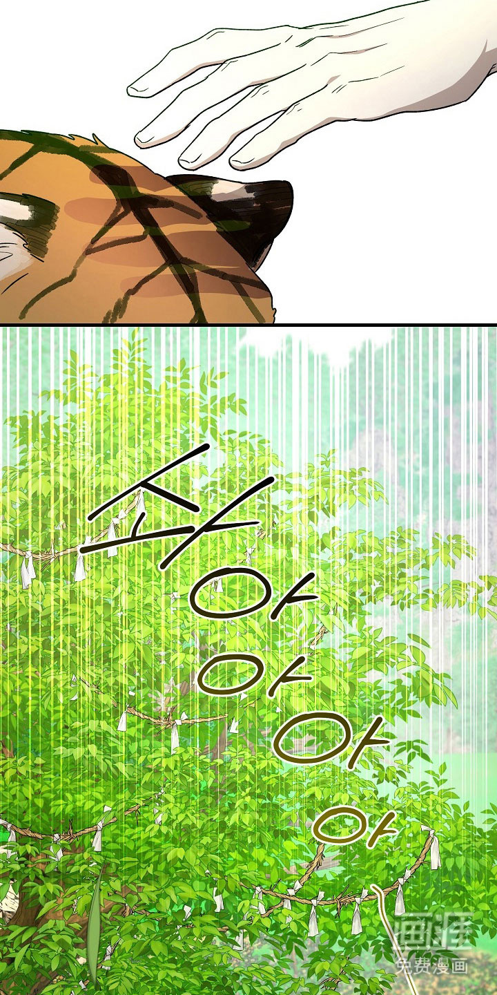 命中犯虎 第22话 第2页