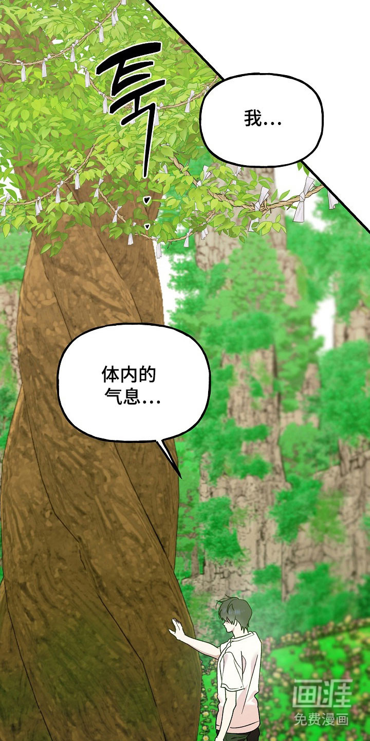 命中犯虎 第22话 第11页