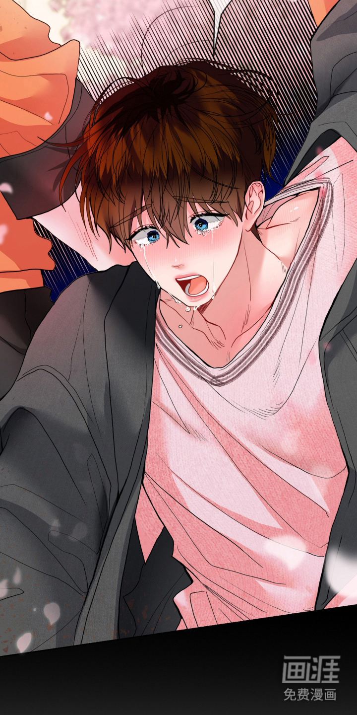陌生挚爱漫画-图19
