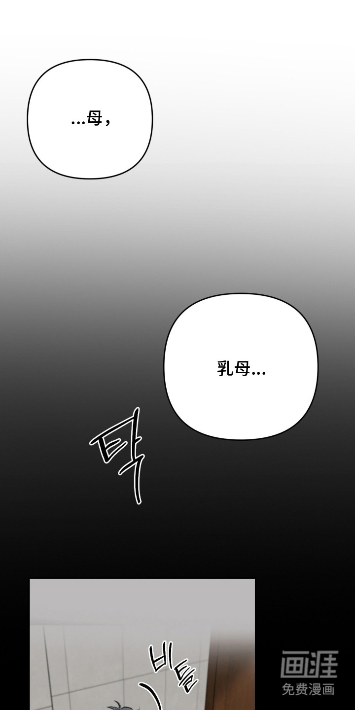 陌生挚爱漫画-图14