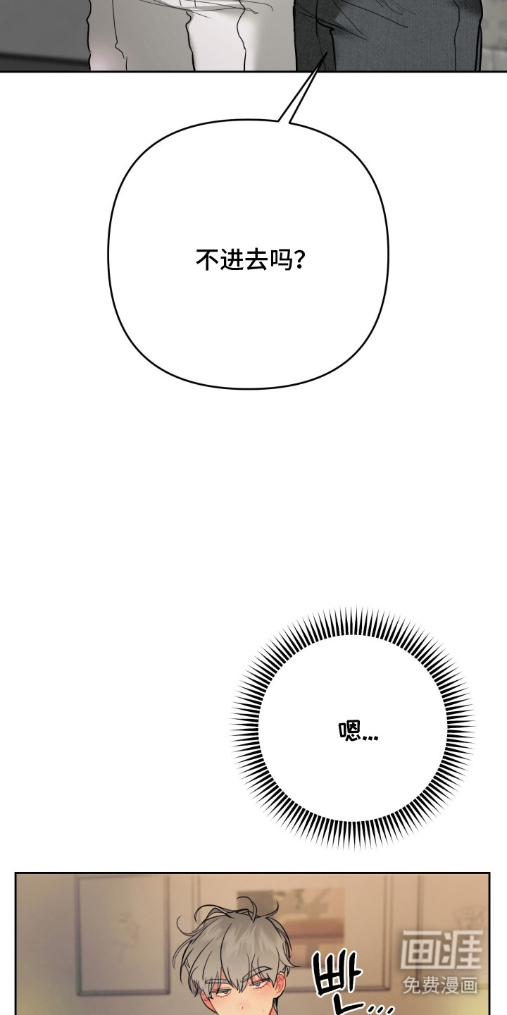 陌生挚爱漫画-图15