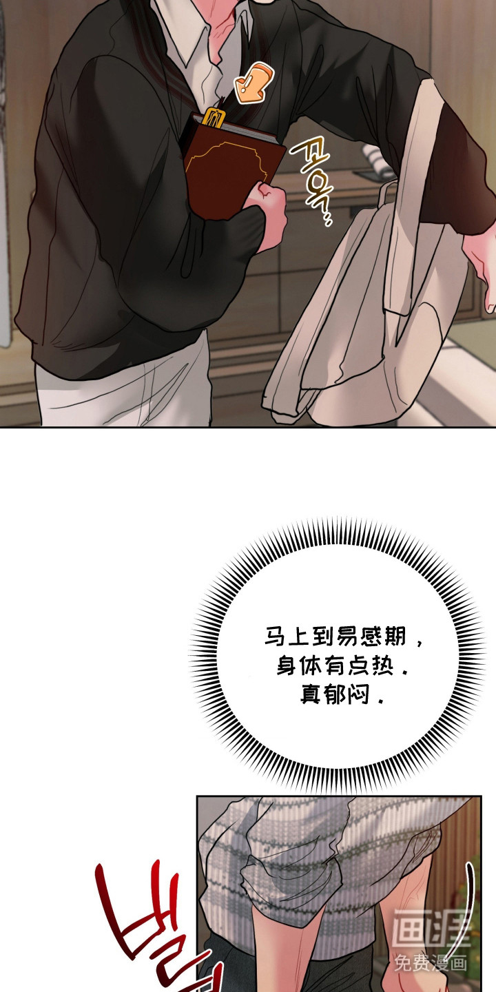 陌生挚爱漫画-图17