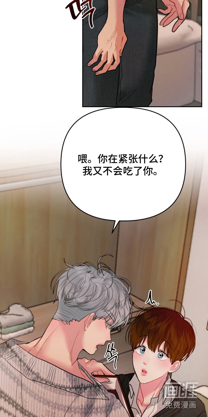 陌生挚爱漫画-图18
