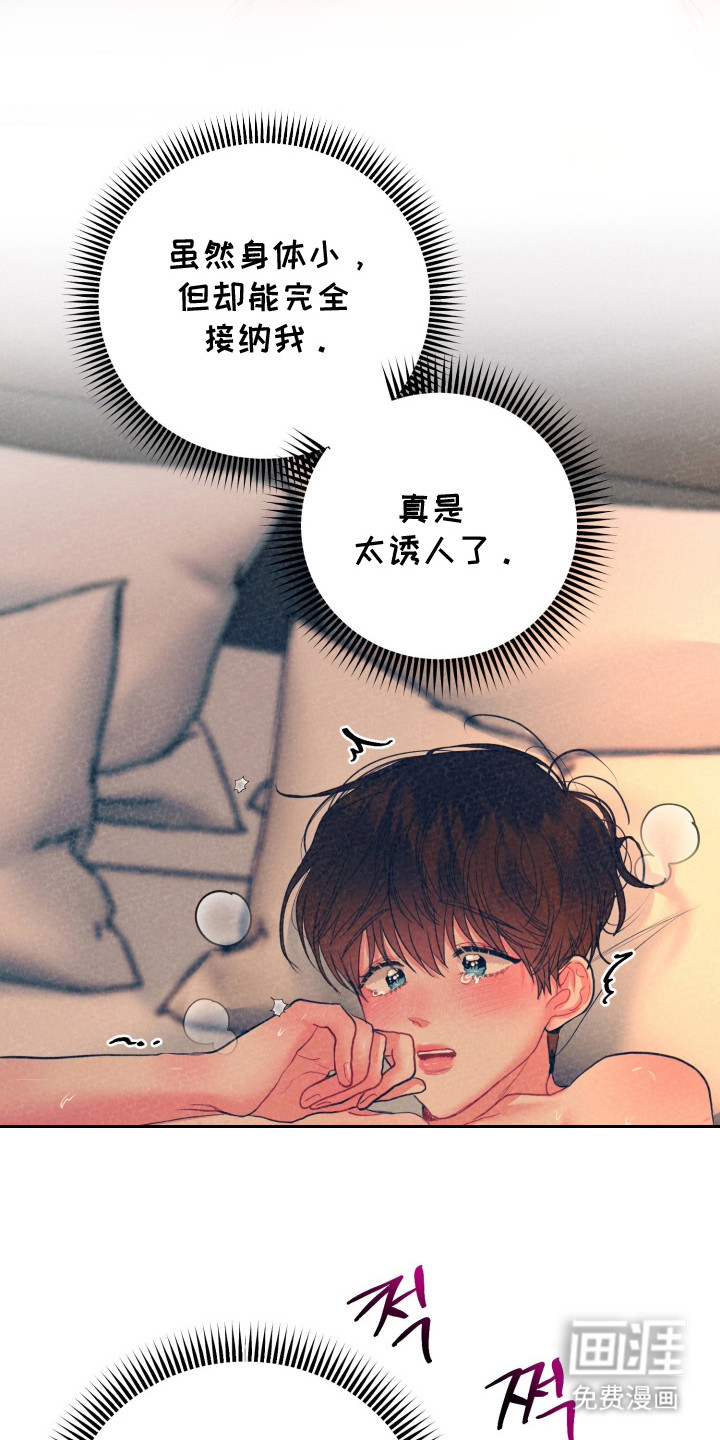 陌生挚爱漫画-图13