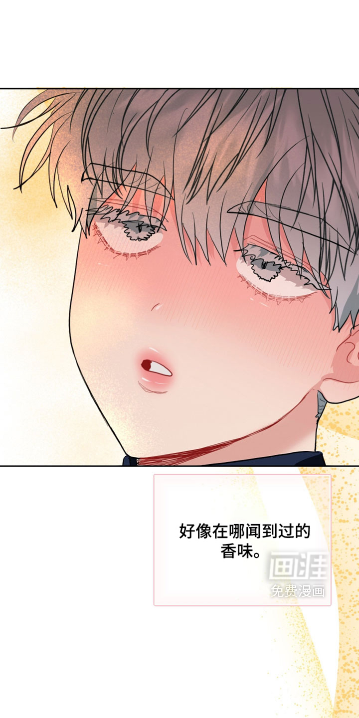 陌生挚爱漫画-图15