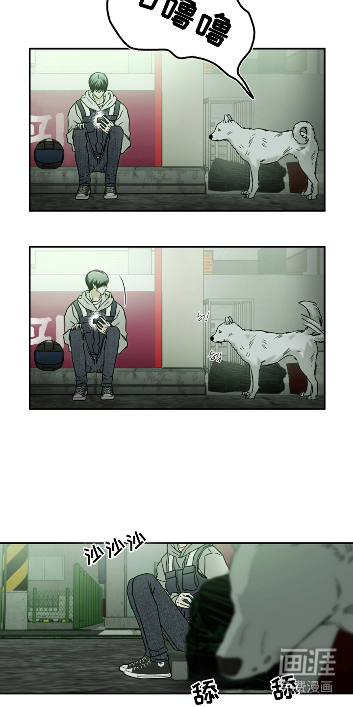 梦想男孩漫画-图11