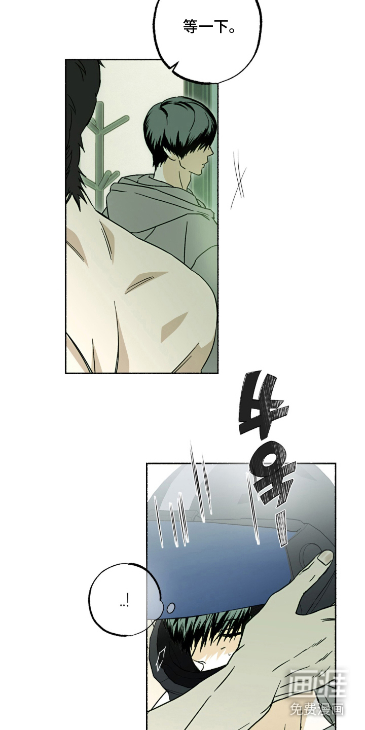 梦想男孩漫画-图20