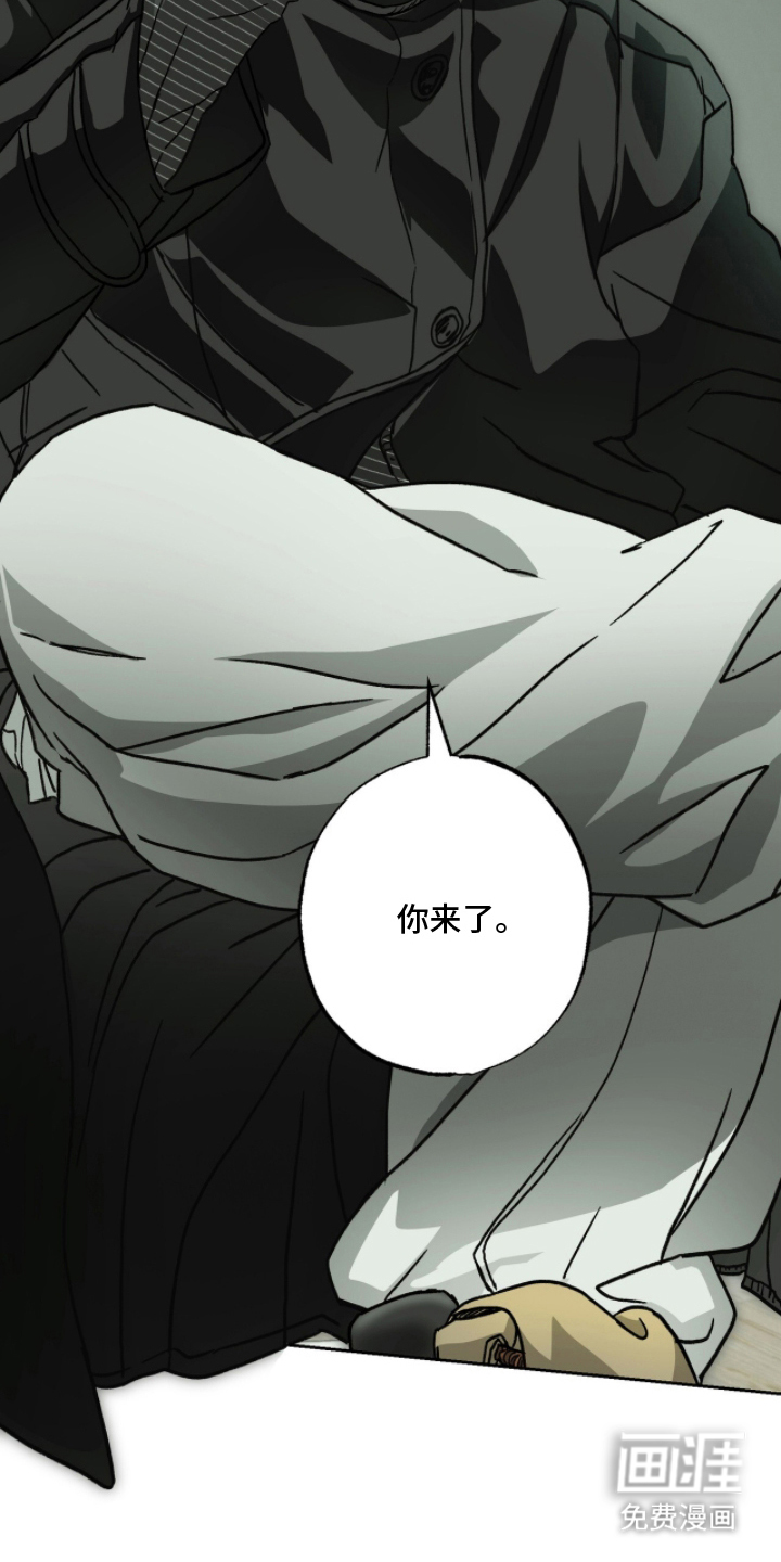 梦想男孩漫画-图15