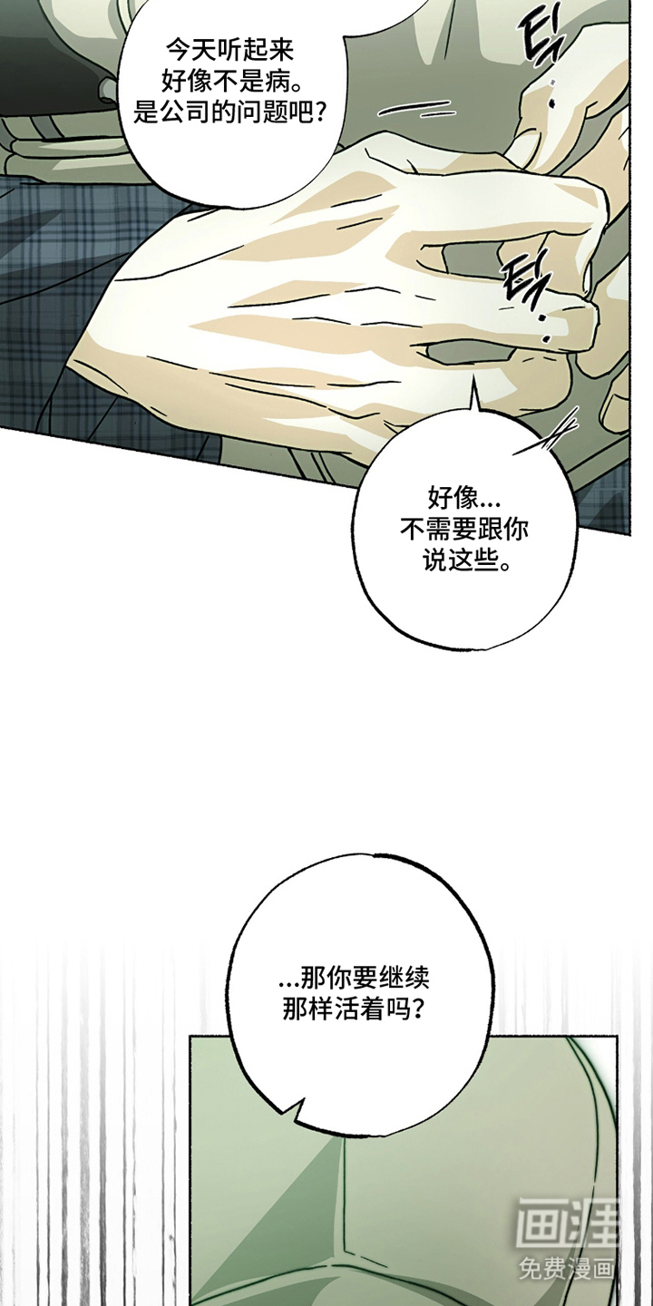 梦想男孩漫画-图12