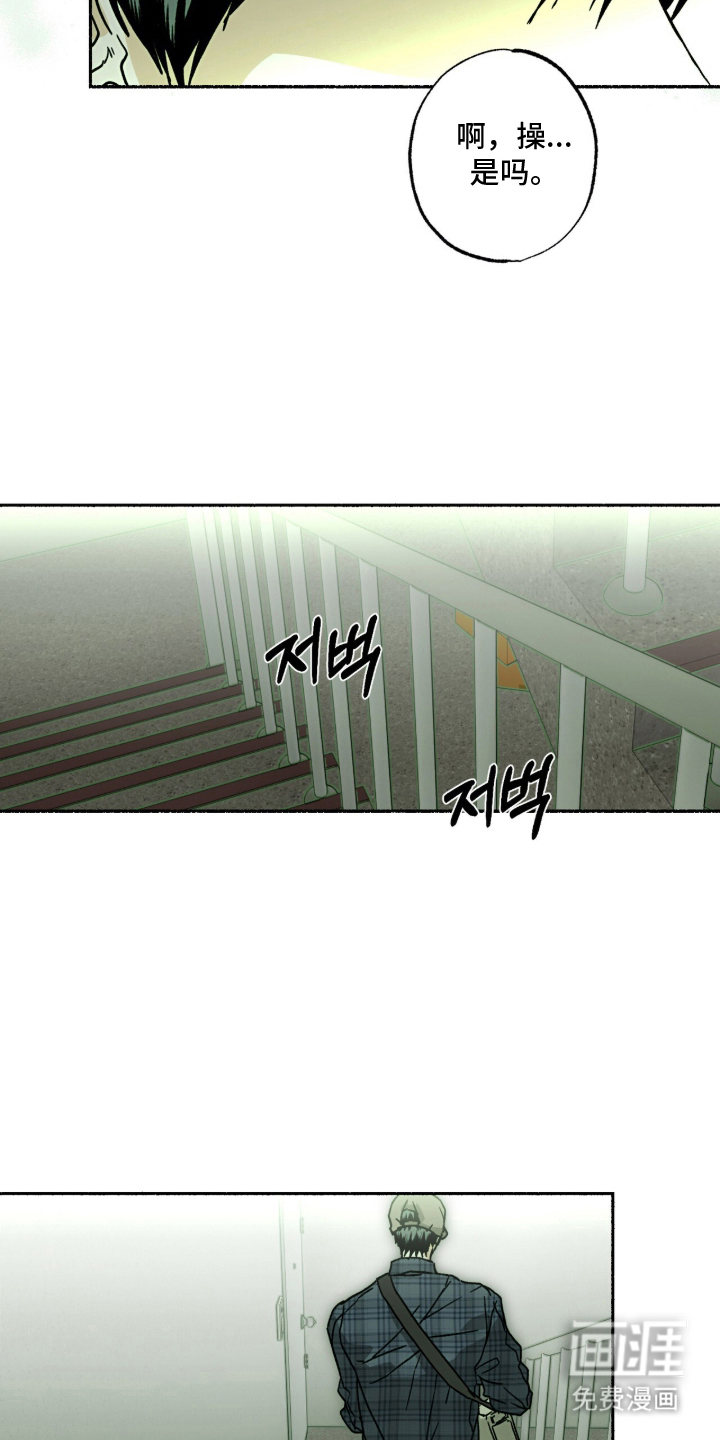 梦想男孩漫画-图14