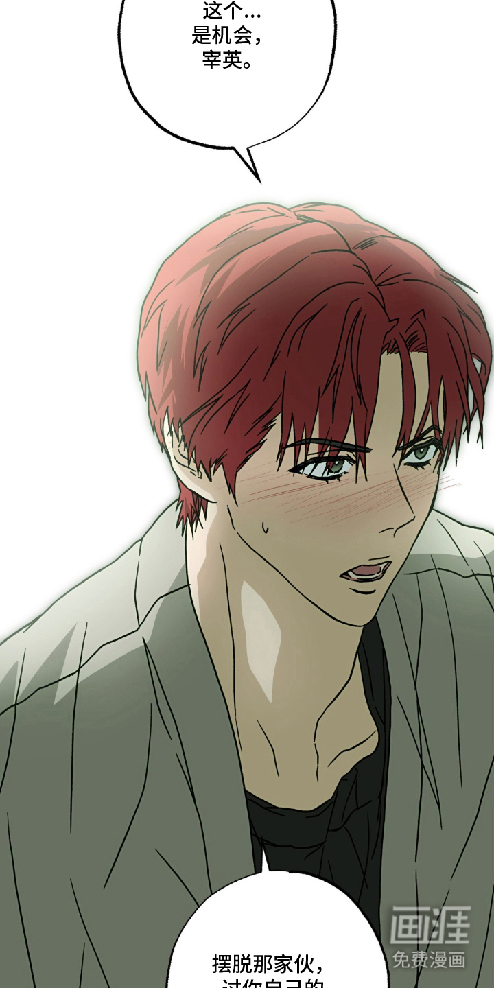 梦想男孩漫画-图9