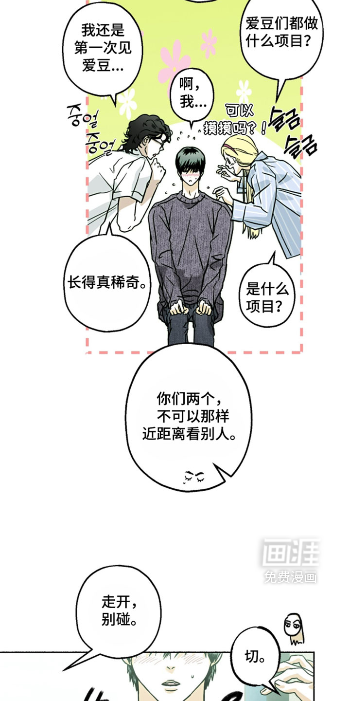 梦想男孩漫画-图13