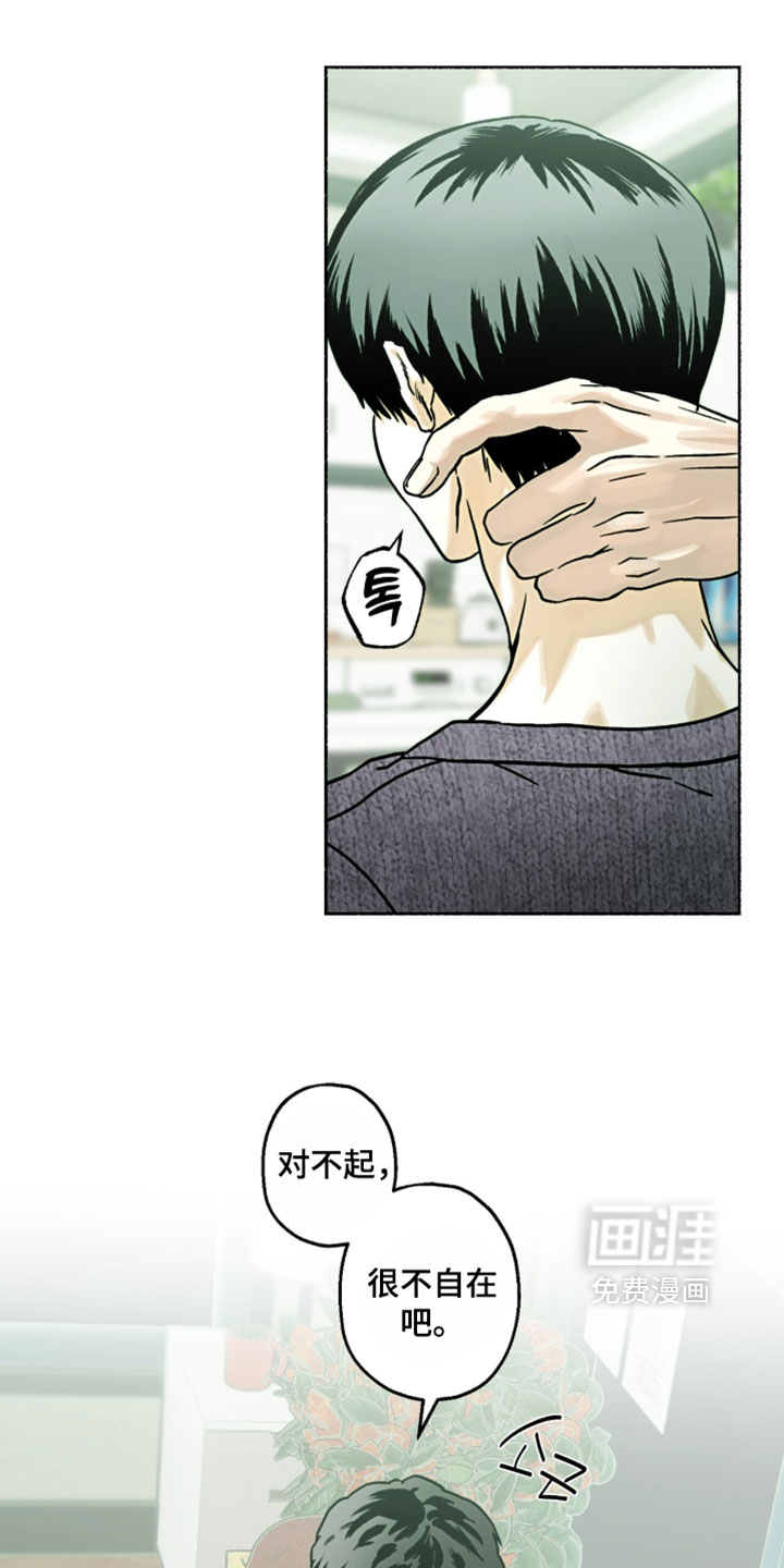 梦想男孩漫画-图17