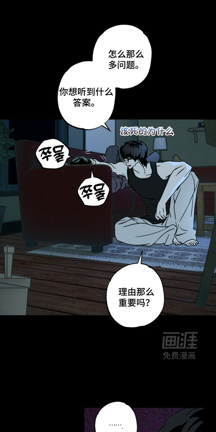 梦想男孩漫画-图14