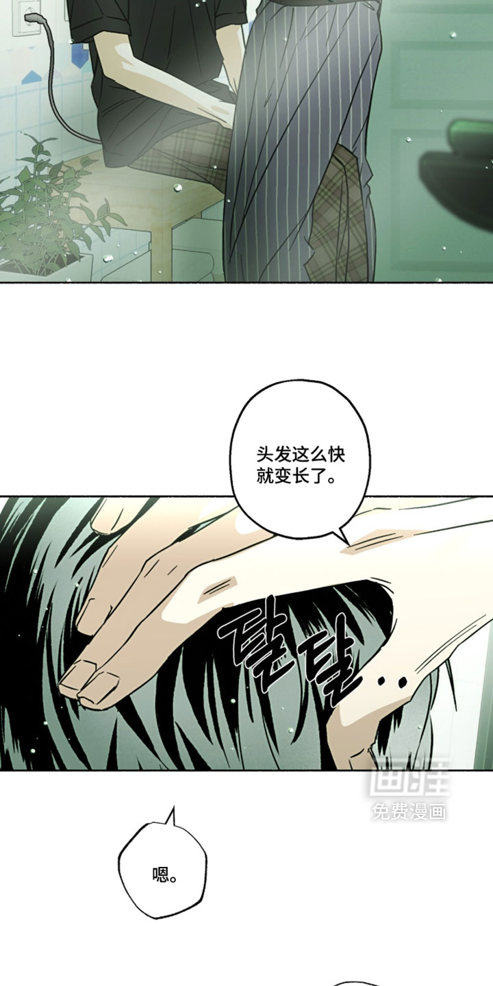 梦想男孩漫画-图14