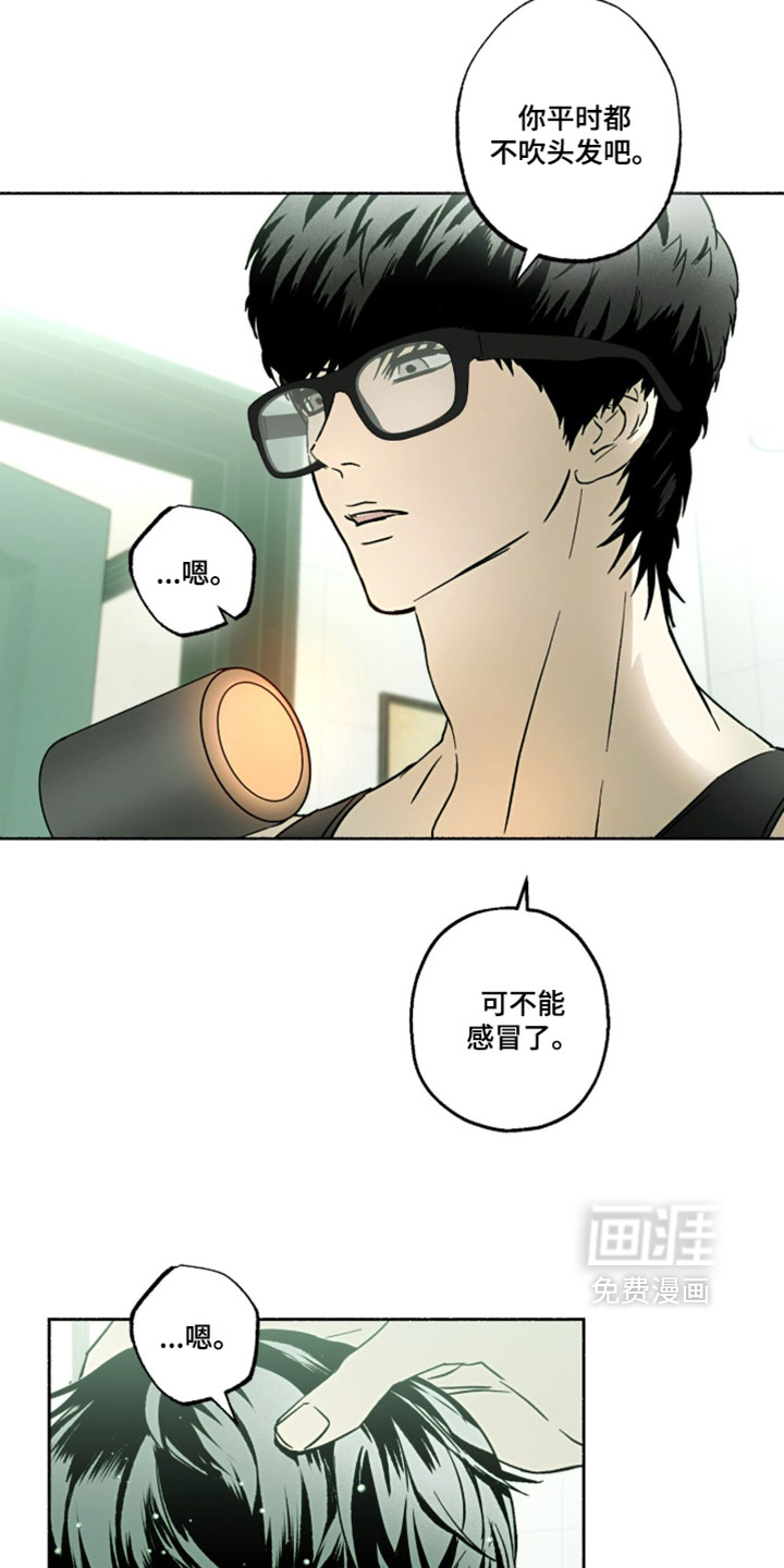 梦想男孩漫画-图15