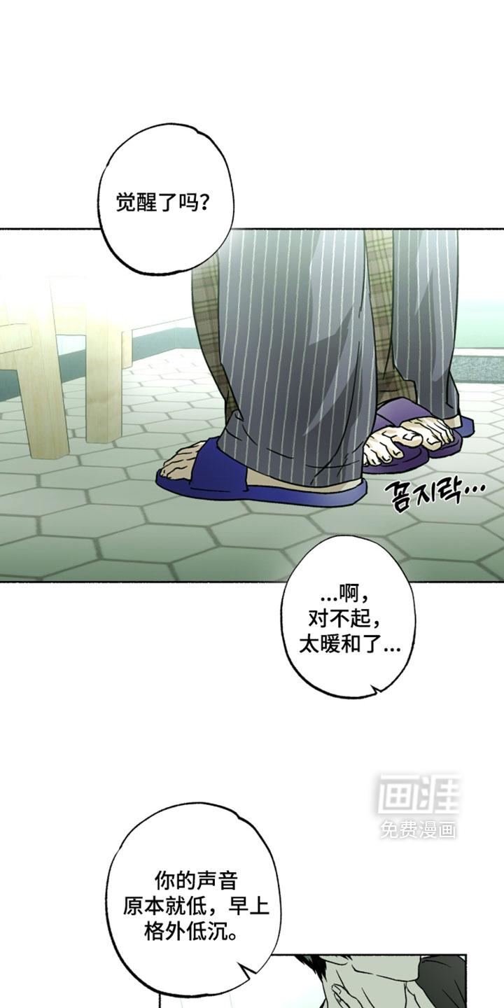 梦想男孩漫画-图0