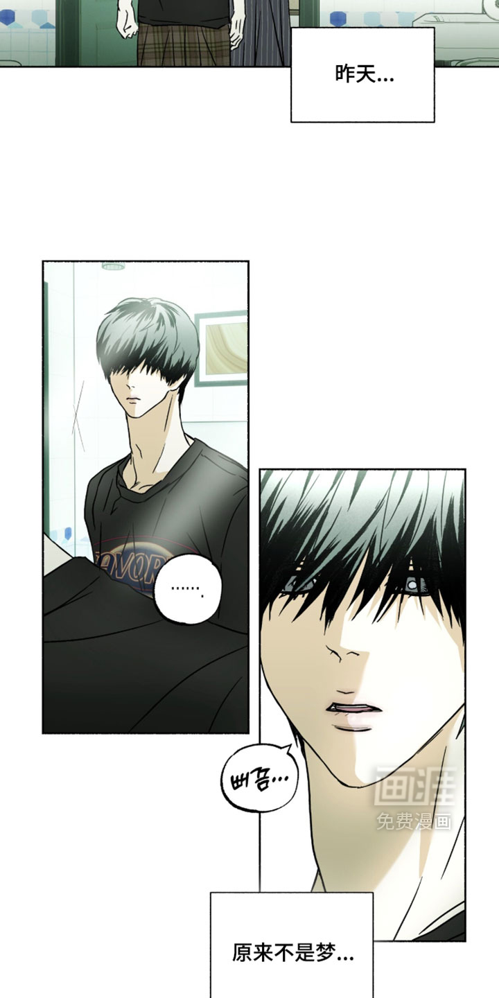 梦想男孩漫画-图3