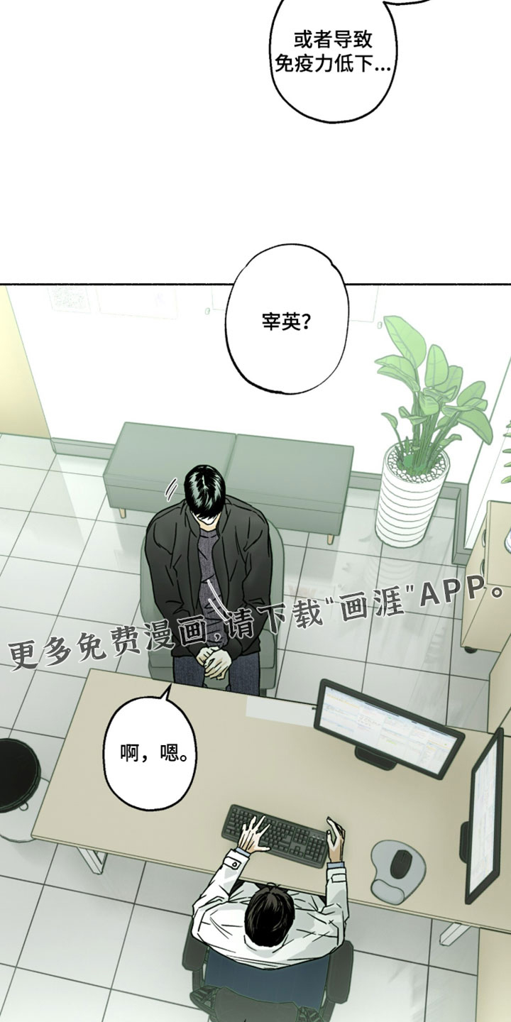 梦想男孩漫画-图19