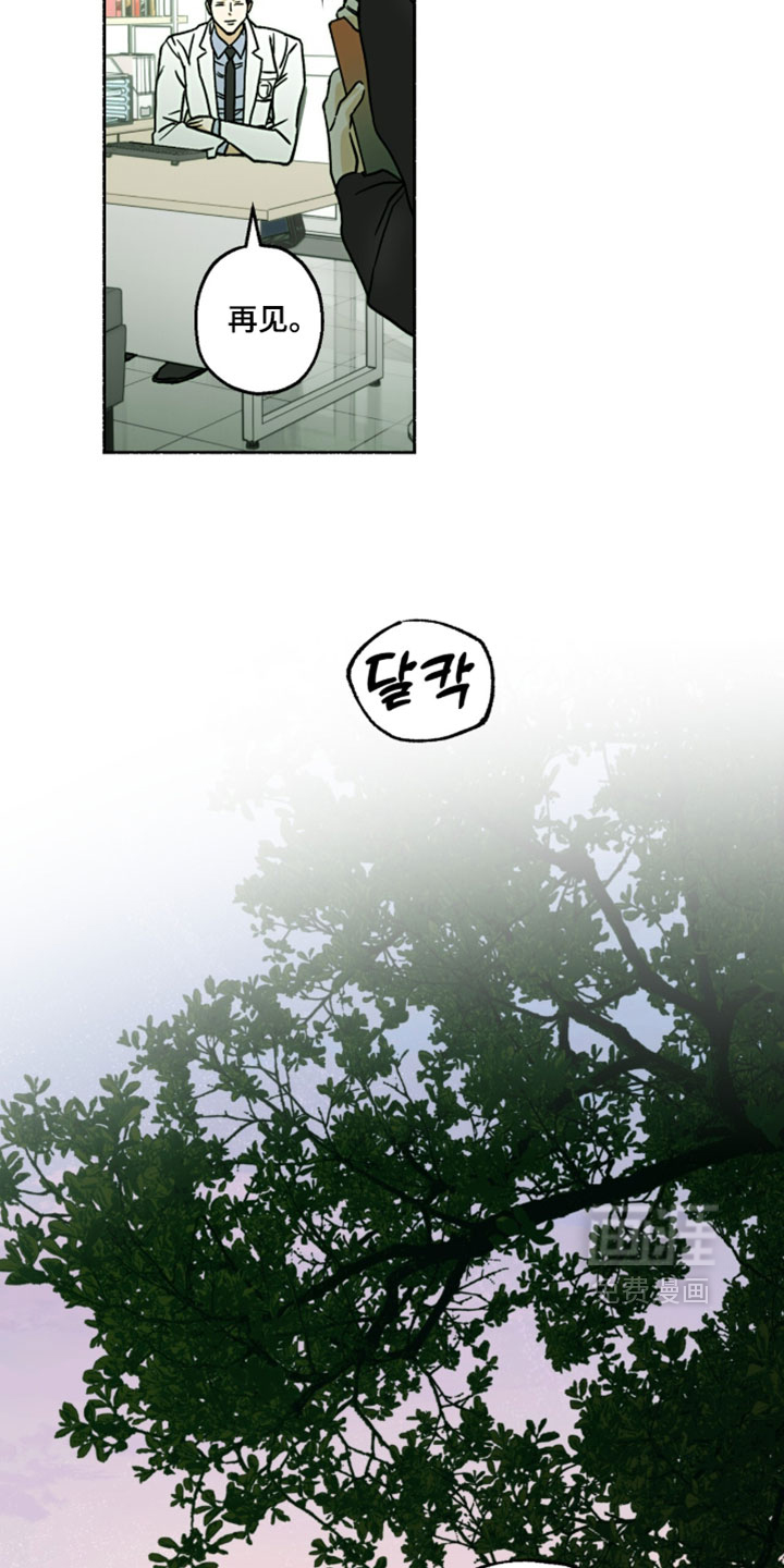 梦想男孩漫画-图7