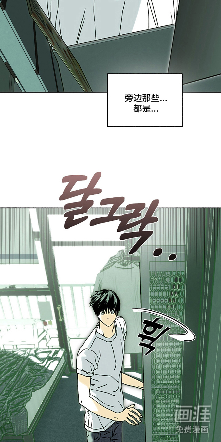 梦想男孩漫画-图17