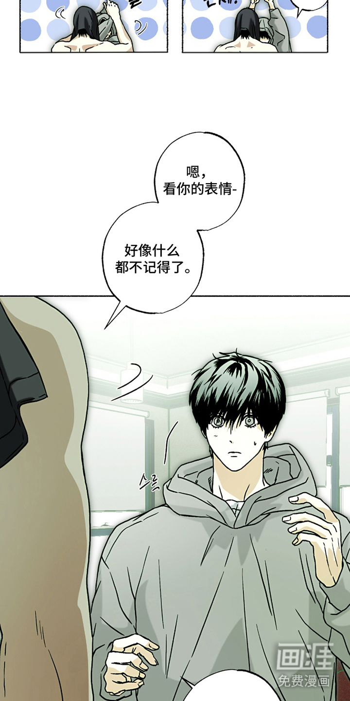 梦想男孩漫画-图7