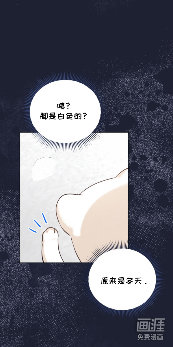 猛兽勿近漫画-图4