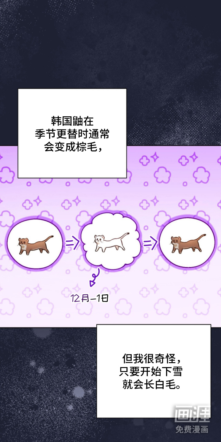 猛兽勿近漫画-图5