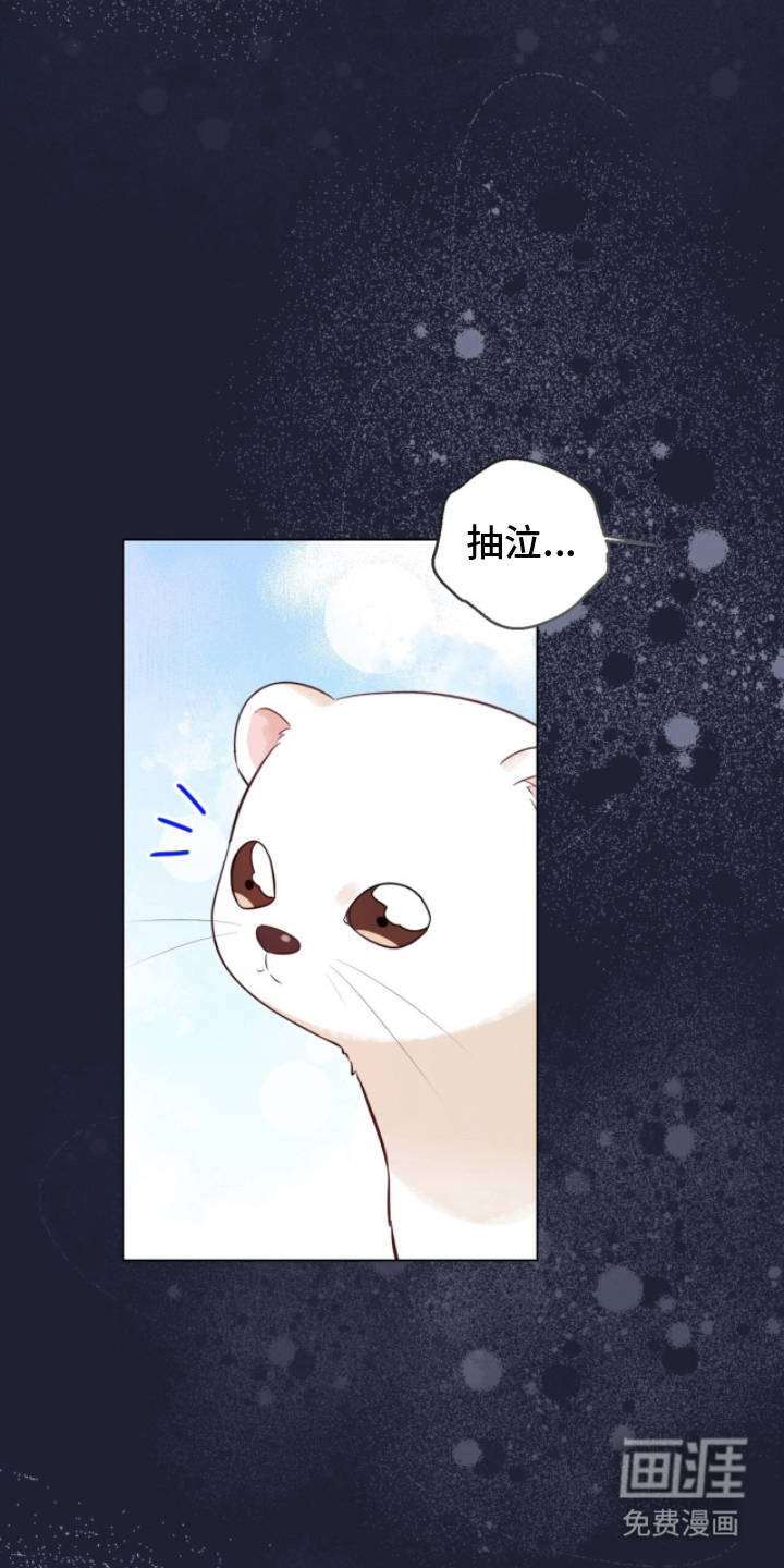 猛兽勿近漫画-图6
