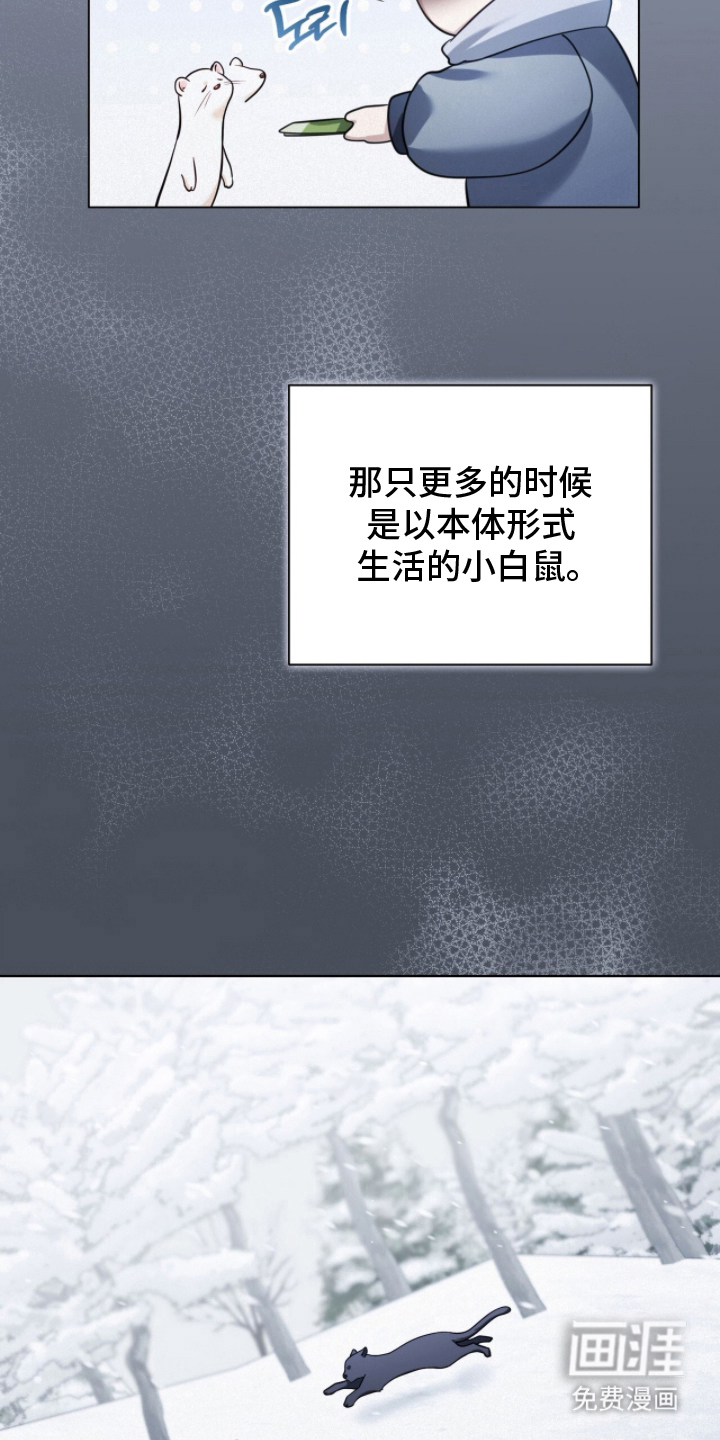 猛兽勿近漫画-图24